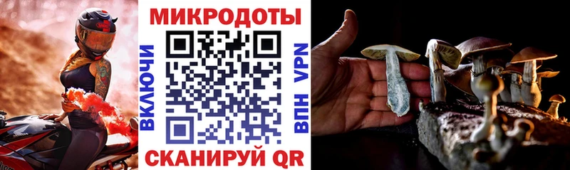 Галлюциногенные грибы ЛСД  закладки  Юрга 